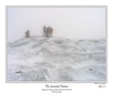 Algonquin Summit Picture.jpg