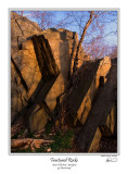 Fractured Rocks.jpg