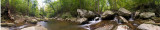 White Oak Pano 2.jpg
