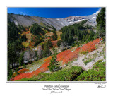 Newton Creek Canyon.jpg