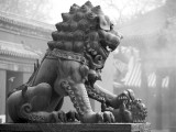 Fu Dog, Lama Temple, Beijing