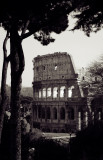 The Colosseum from the Forum