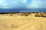 Dune-