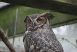 zoo 129.jpg