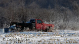 Red truck in snow