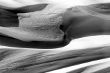 Snow Drift