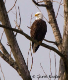 Keeping Watch