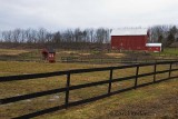 Horse Farm