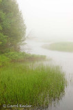 Morning on the Moose River