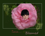 Tara-bloomedfairyedited-1_e.jpg