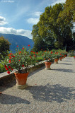 Garden path (Lake Como, Italy)
