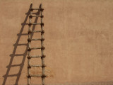 Ladder in Al Ain, UAE