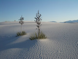 White Sands National Monument.jpg