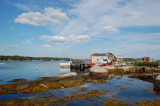 Floaties in the Water, Prospect, NS.jpg