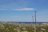 Cape Jourmain, New Brunswick.jpg