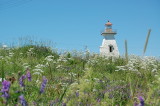 Cape Tourmantine, New Brunswick.jpg