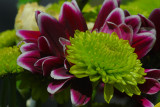 DSC_3706.JPG