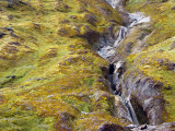 Stream on Mt Taranaki