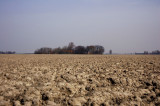 Klei, klei en nog eens klei, voormalige waddenzee, noord Groningen