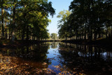 Veluwe