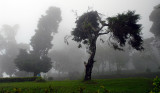 Sukuh Temple - the mist