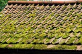 Roof to an old cidar press