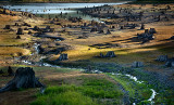 Natures tombstones