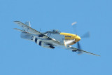 P51D Ferocious Frankie