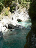 P1000340.JPG