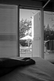 legs_5298.jpg