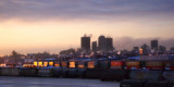 Winter Morning_3949.jpg