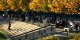 Forks Market_2671.jpg