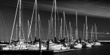 Gimli_5704.jpg
