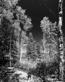 Riding MountainPark_2233.jpg