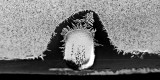 Frost Pattern_3741.jpg