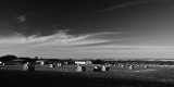 Dauphin_Hay Bales_2336.jpg