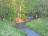 Volga Creek