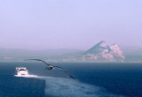 Boat To Algeciras