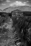 Secadero_JLB6520.jpg