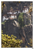 Templos en Bhutan - Bhutan temples