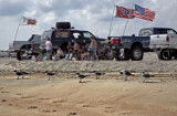 Southern Hangout-Guys and Gulls