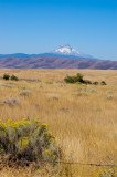 PICT0061-Edit.jpg