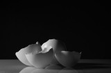 Eggshells III