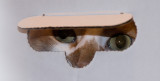 HEY! anybody out there? HELLO?? OK, This isn't funny any more! Anyone listening??