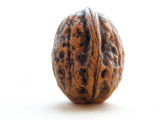 walnut (2).jpg