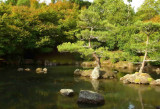 Section of Japanese garden in Hamilton Gardens