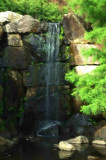 A small water fall at  Hamilton Gardens