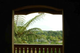 A view from the top at  Hamilton Gardens