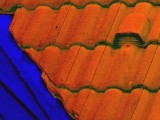 135mm Lens: UV-VIS Calibrated at 0, Detail
