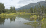 WStE Pond.jpg